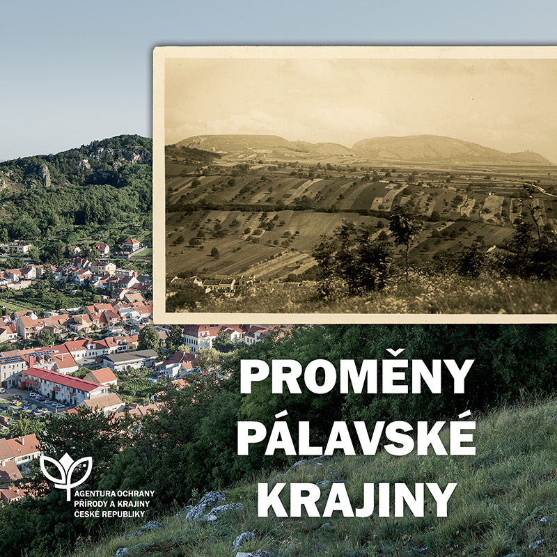 Proměny pálavské krajiny